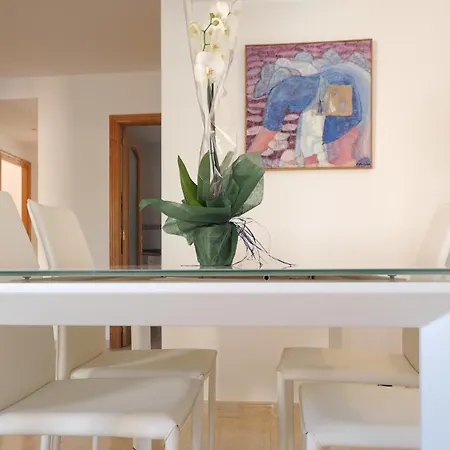 Olot Llenaire Apartment *