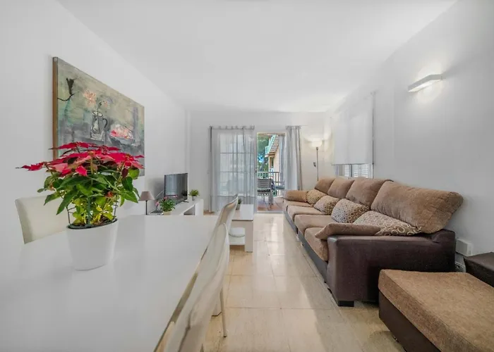 Olot Llenaire Port de Pollença